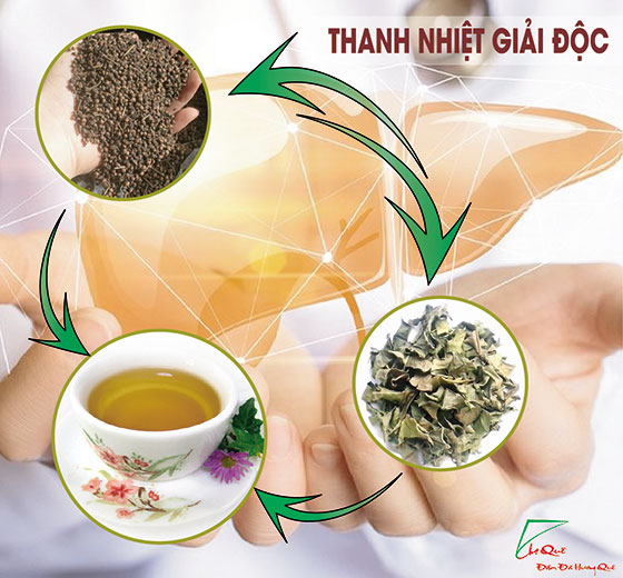 nụ vối, lá vối - bài thuốc chữa bệnh dân gian